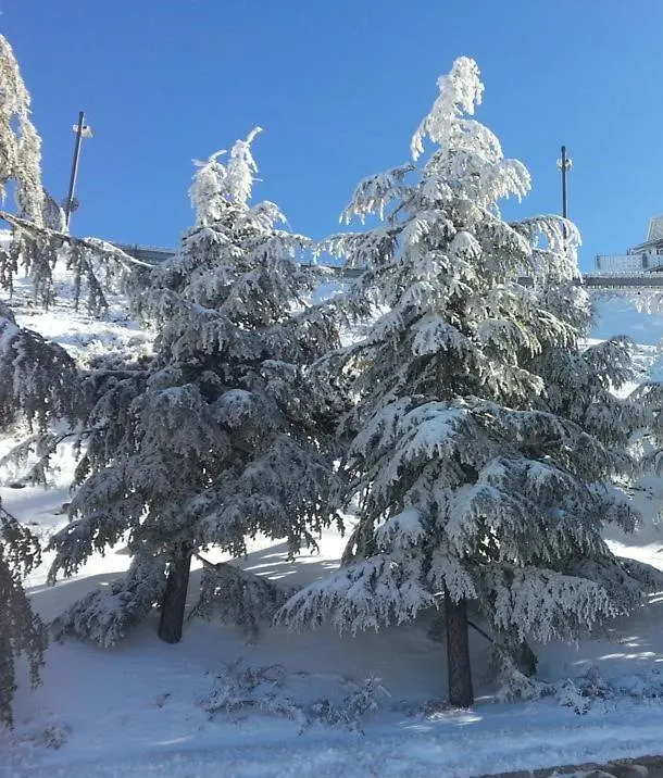 Apartamento Ginebra Sierra Nevada